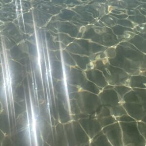 Profile photo of Parisi Patrick