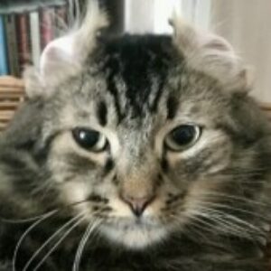 Profile photo of Franz Neff