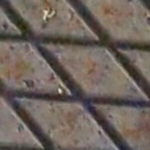 Profile photo of Kurt Blaser