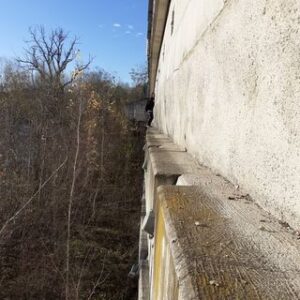 Profile photo of Silvester Reindl