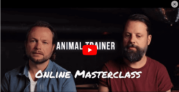 Online Masterclass – Animal Trainer – House Producing – Hive Audio